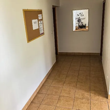 Goscinne Walus Murzasichle